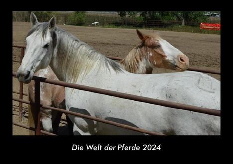 Tobias Becker: Die Welt der Pferde 2024 Fotokalender DIN A3, Kalender