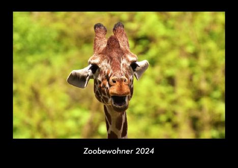 Tobias Becker: Zoobewohner 2024 Fotokalender DIN A3, Kalender
