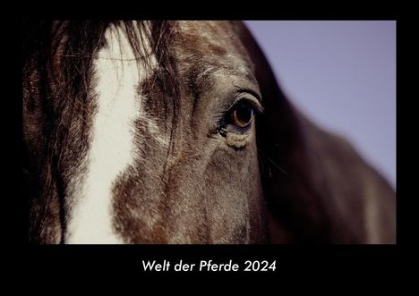 Tobias Becker: Welt der Pferde 2024 Fotokalender DIN A3, Kalender