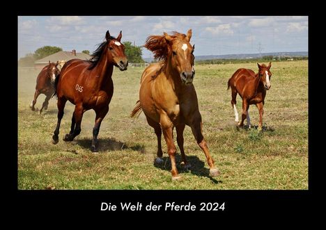 Tobias Becker: Die Welt der Pferde 2024 Fotokalender DIN A3, Kalender