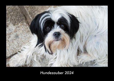 Tobias Becker: Hundezauber 2024 Fotokalender DIN A3, Kalender