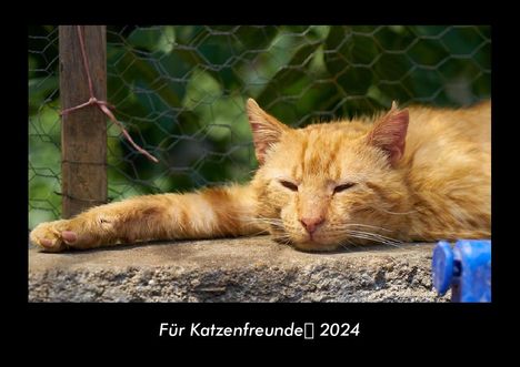 Tobias Becker: Für Katzenfreunde 2024 Fotokalender DIN A3, Kalender