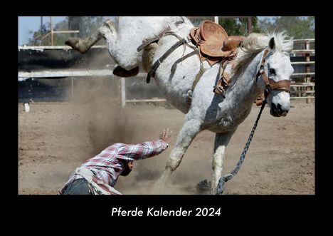 Tobias Becker: Pferde Kalender 2024 Fotokalender DIN A3, Kalender