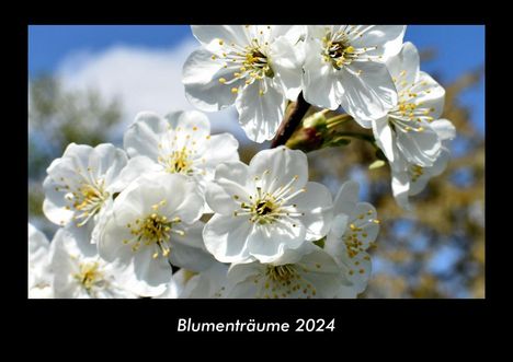 Tobias Becker: Blumenträume 2024 Fotokalender DIN A3, Kalender