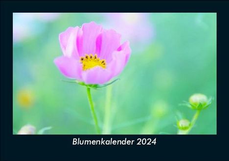 Tobias Becker: Blumenkalender 2024 Fotokalender DIN A5, Kalender