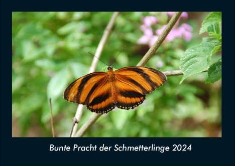 Tobias Becker: Bunte Pracht der Schmetterlinge 2024 Fotokalender DIN A4, Kalender