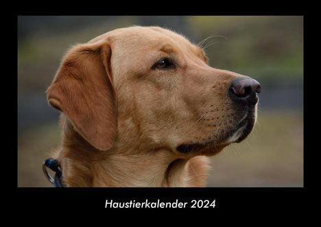 Tobias Becker: Haustierkalender 2024 Fotokalender DIN A3, Kalender