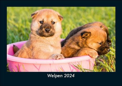 Tobias Becker: Welpen 2024 Fotokalender DIN A5, Kalender