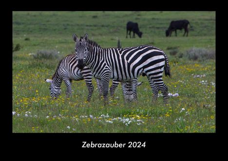 Tobias Becker: Zebrazauber 2024 Fotokalender DIN A3, Kalender