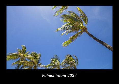 Tobias Becker: Palmentraum 2024 Fotokalender DIN A3, Kalender