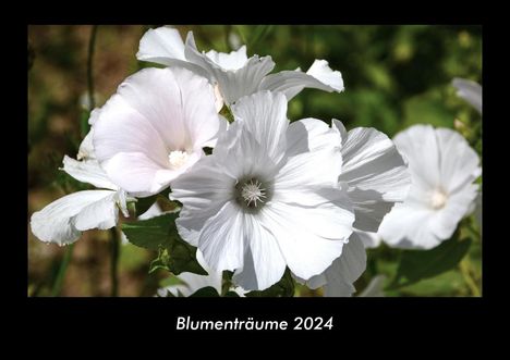 Tobias Becker: Blumenträume 2024 Fotokalender DIN A3, Kalender