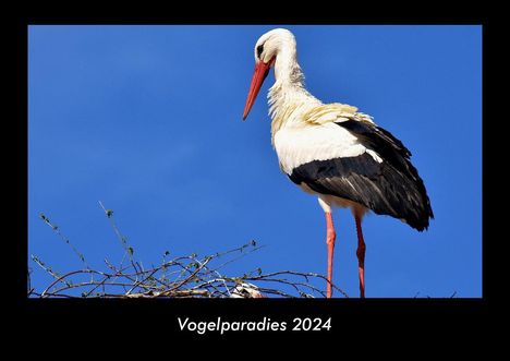 Tobias Becker: Vogelparadies 2024 Fotokalender DIN A3, Kalender