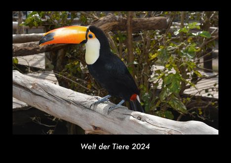 Tobias Becker: Welt der Tiere 2024 Fotokalender DIN A3, Kalender