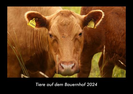 Tobias Becker: Tiere auf dem Bauernhof 2024 Fotokalender DIN A3, Kalender
