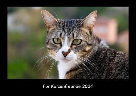 Tobias Becker: Für Katzenfreunde 2024 Fotokalender DIN A3, Kalender