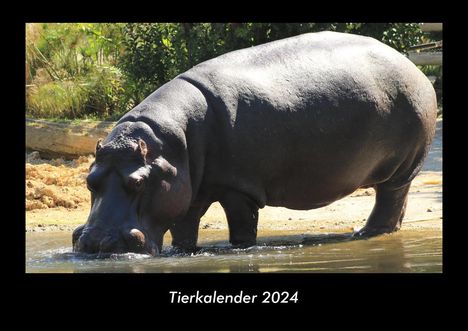 Tobias Becker: Tierkalender 2024 Fotokalender DIN A3, Kalender