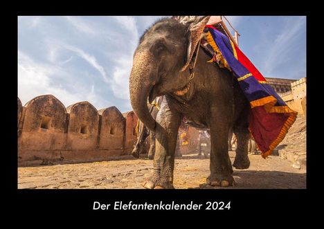 Tobias Becker: Der Elefantenkalender 2024 Fotokalender DIN A3, Kalender