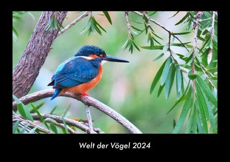 Tobias Becker: Welt der Vögel 2024 Fotokalender DIN A3, Kalender