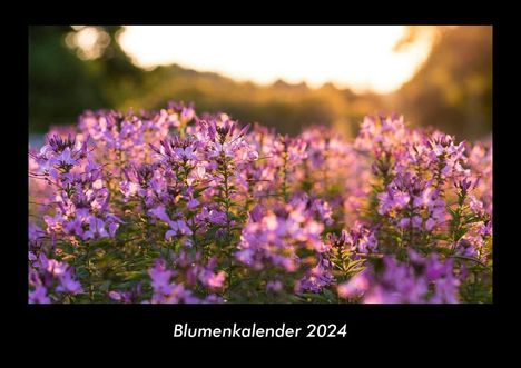 Tobias Becker: Blumenkalender 2024 Fotokalender DIN A3, Kalender