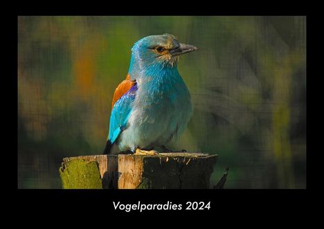 Tobias Becker: Vogelparadies 2024 Fotokalender DIN A3, Kalender