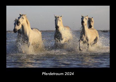 Tobias Becker: Pferdetraum 2024 Fotokalender DIN A3, Kalender