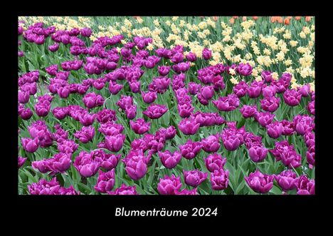 Tobias Becker: Blumenträume 2024 Fotokalender DIN A3, Kalender