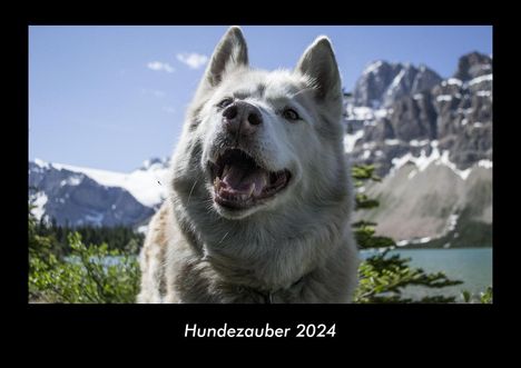 Tobias Becker: Hundezauber 2024 Fotokalender DIN A3, Kalender