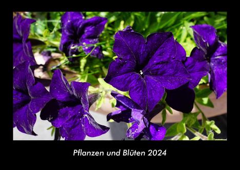 Tobias Becker: Pflanzen und Blüten 2024 Fotokalender DIN A3, Kalender