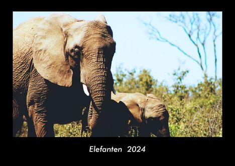 Tobias Becker: Elefanten 2024 Fotokalender DIN A3, Kalender