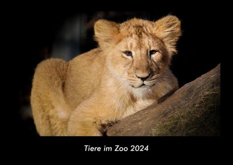 Tobias Becker: Tiere im Zoo 2024 Fotokalender DIN A3, Kalender