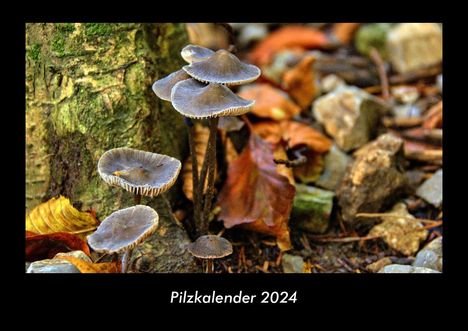 Tobias Becker: Pilzkalender 2024 Fotokalender DIN A3, Kalender
