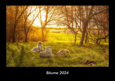 Tobias Becker: Bäume 2024 Fotokalender DIN A3, Kalender