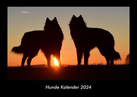 Tobias Becker: Hunde Kalender 2024 Fotokalender DIN A3, Kalender