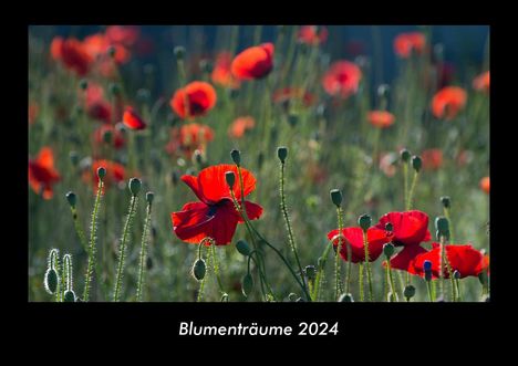 Tobias Becker: Blumenträume 2024 Fotokalender DIN A3, Kalender