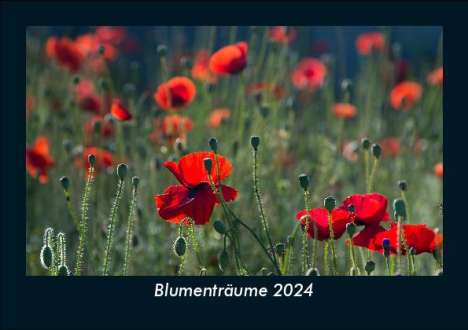 Tobias Becker: Blumenträume 2024 Fotokalender DIN A5, Kalender