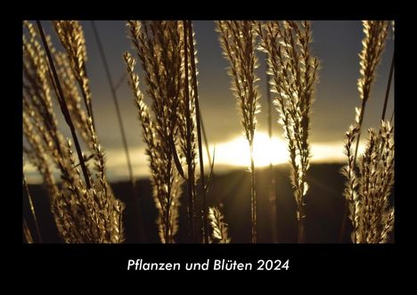 Tobias Becker: Pflanzen und Blüten 2024 Fotokalender DIN A3, Kalender