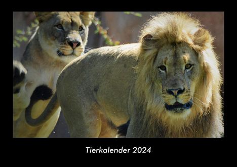 Tobias Becker: Tierkalender 2024 Fotokalender DIN A3, Kalender