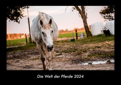 Tobias Becker: Die Welt der Pferde 2024 Fotokalender DIN A3, Kalender