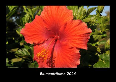 Tobias Becker: Blumenträume 2024 Fotokalender DIN A3, Kalender