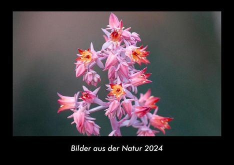 Tobias Becker: Bilder aus der Natur 2024 Fotokalender DIN A3, Kalender
