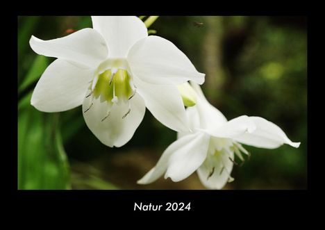 Tobias Becker: Natur 2024 Fotokalender DIN A3, Kalender