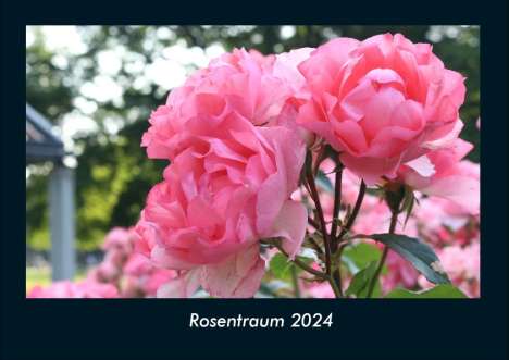 Tobias Becker: Rosentraum 2024 Fotokalender DIN A4, Kalender