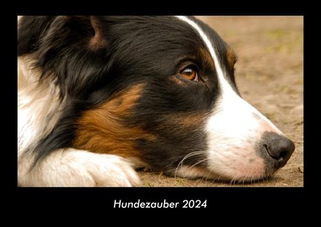 Tobias Becker: Hundezauber 2024 Fotokalender DIN A3, Kalender