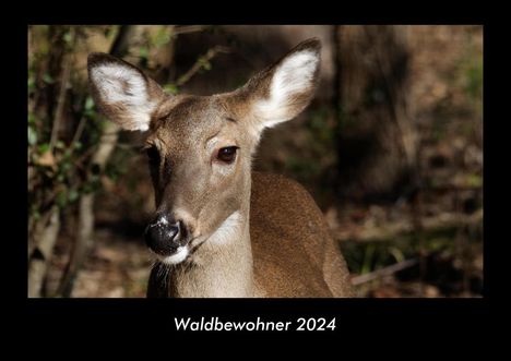 Tobias Becker: Waldbewohner 2024 Fotokalender DIN A3, Kalender