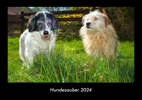 Tobias Becker: Hundezauber 2024 Fotokalender DIN A3, Kalender