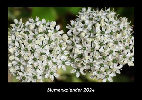 Tobias Becker: Blumenkalender 2024 Fotokalender DIN A3, Kalender