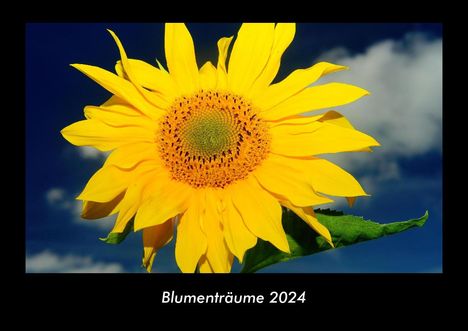 Tobias Becker: Blumenträume 2024 Fotokalender DIN A3, Kalender