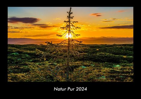 Tobias Becker: Natur Pur 2024 Fotokalender DIN A3, Kalender
