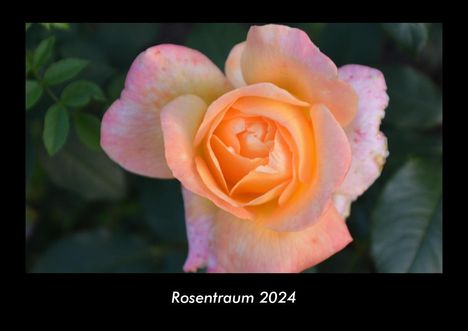 Tobias Becker: Rosentraum 2024 Fotokalender DIN A3, Kalender