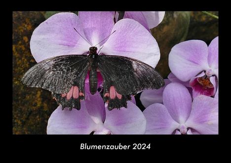 Tobias Becker: Blumenzauber 2024 Fotokalender DIN A3, Kalender